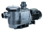 Swimming pool pump with transparent strainer lid