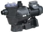 Black plastic pool pump sits on a molded base, clear screw-top strainer lid at left, cylindrical electric motor attached at right, threaded inlet/outlet fittings at front. Small label and motor sticker present but illegible.